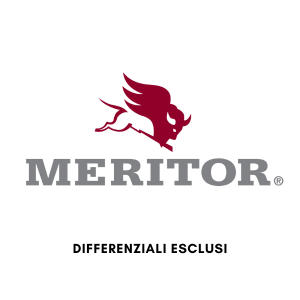 ricambi Meritor