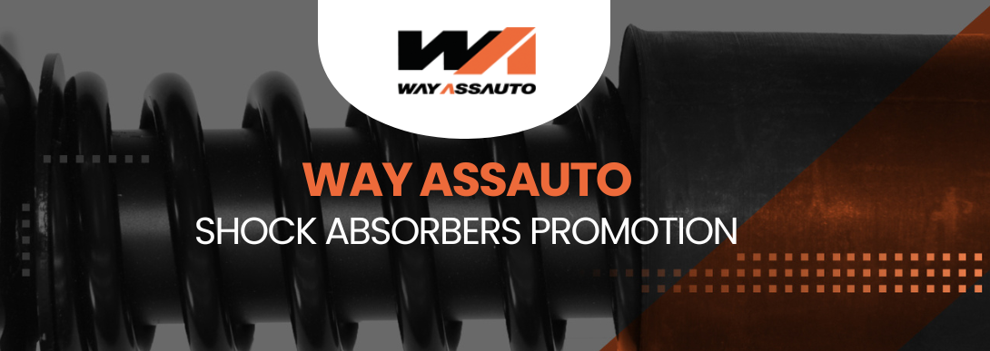 Way Assauto shock absorbers promotion, Shock absorbers for trucks, trailers, axles and buses